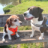 Lassie+%26amp%3B+Trude+%F0%9F%92%9D