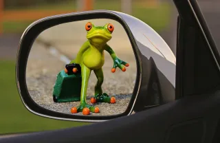 photo/75d2e017-557d-4e40-adab-583120c1b34e-3