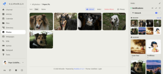 photo/8bfd859a-d2b7-44d4-8e85-cb7fca5ddcc7-3