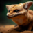 SandFuchsFroschy :autism: :adhs: :demisexual: | :solar_energy: 11W/405Wh