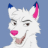 Varbin+%3Aarctic_fox%3A+%E2%80%8B%3Agay_furr%3A