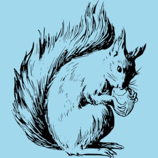 armes_eichhoernchen.png