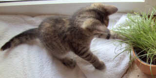 photo/d9b02d66-fdf8-47cb-a346-dd3c7db73a90-3